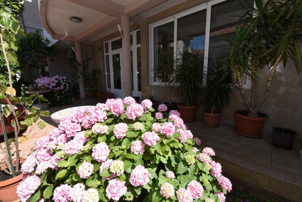 Guest House Zec Budva Exteriér fotografie
